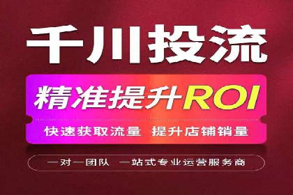 百度SEO推广公司案例：如何快速提升网站排名